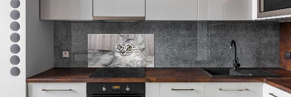 Kitchen splashback Cat with glasses