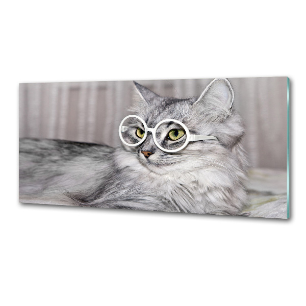 Kitchen splashback Cat with glasses