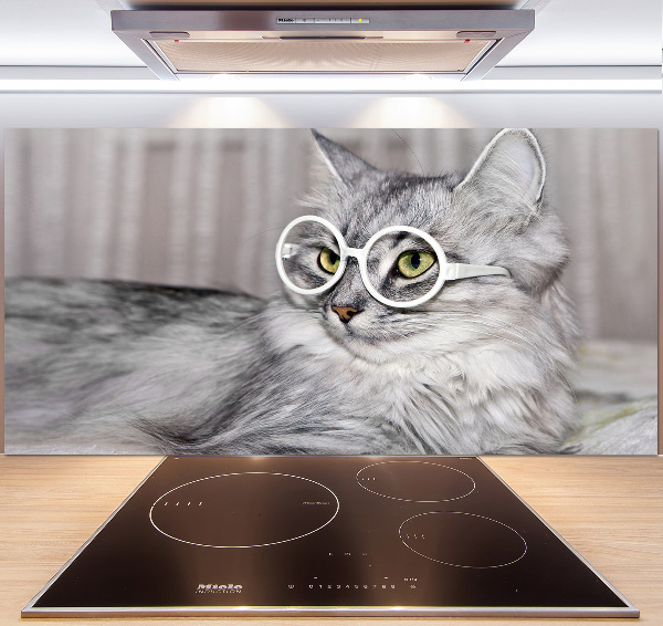 Kitchen splashback Cat with glasses