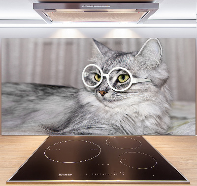 Kitchen splashback Cat with glasses