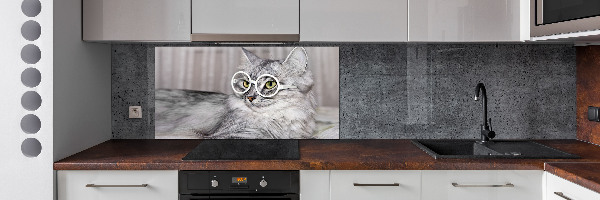 Kitchen splashback Cat with glasses