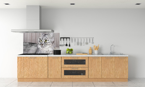 Kitchen splashback Cat with glasses