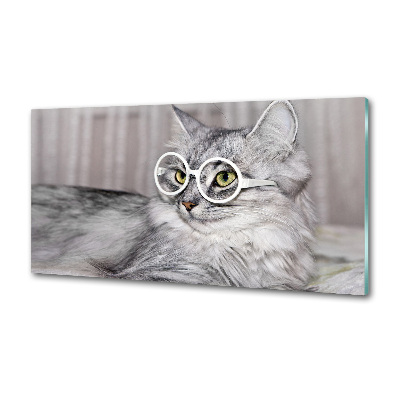 Kitchen splashback Cat with glasses