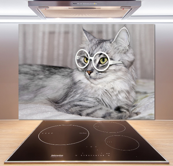 Kitchen splashback Cat with glasses