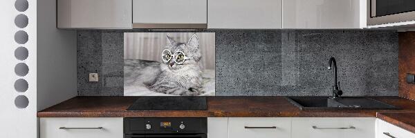 Kitchen splashback Cat with glasses