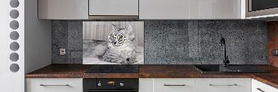 Kitchen splashback Cat with glasses