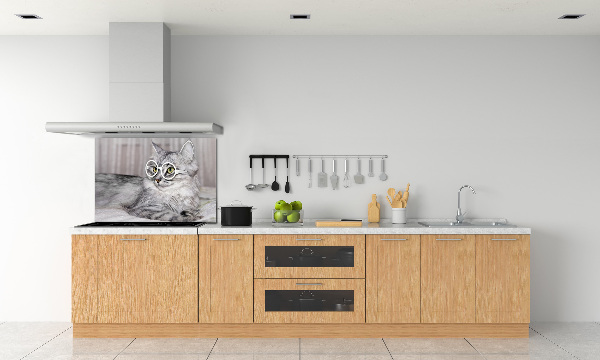 Kitchen splashback Cat with glasses