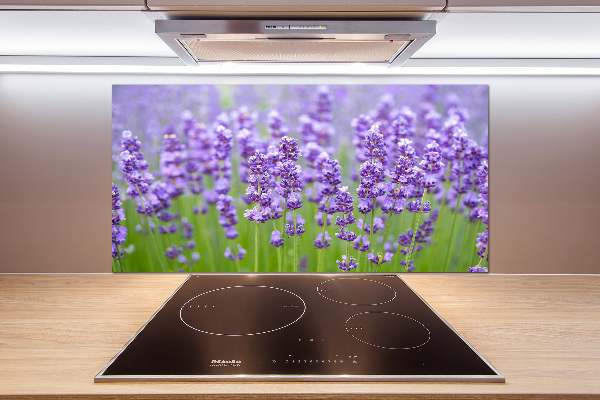 Kitchen splashback Lavender