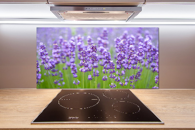 Kitchen splashback Lavender