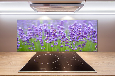 Kitchen splashback Lavender