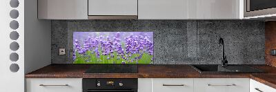 Kitchen splashback Lavender