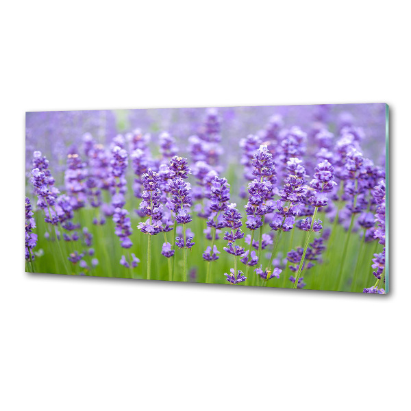 Kitchen splashback Lavender