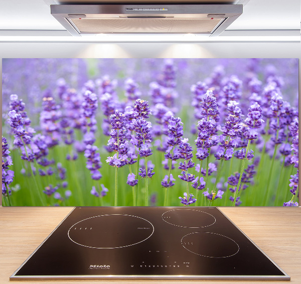 Kitchen splashback Lavender