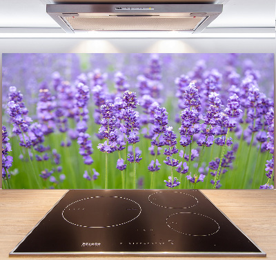 Kitchen splashback Lavender