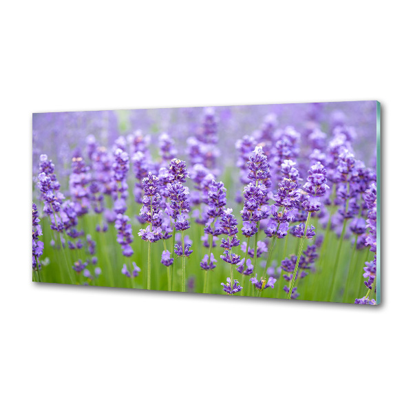 Kitchen splashback Lavender