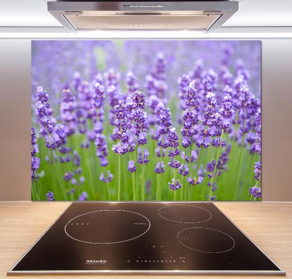 Kitchen splashback Lavender