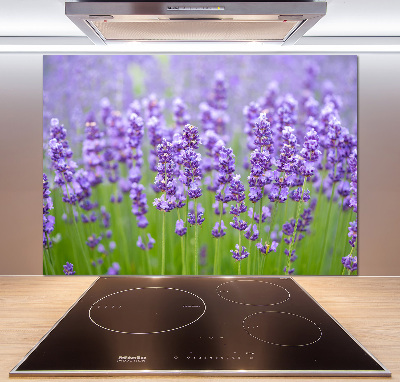 Kitchen splashback Lavender