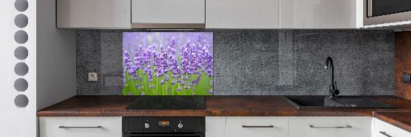 Kitchen splashback Lavender