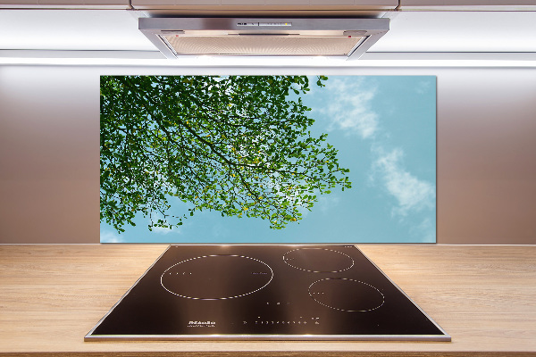 Cooker splashback Leaves in the sky