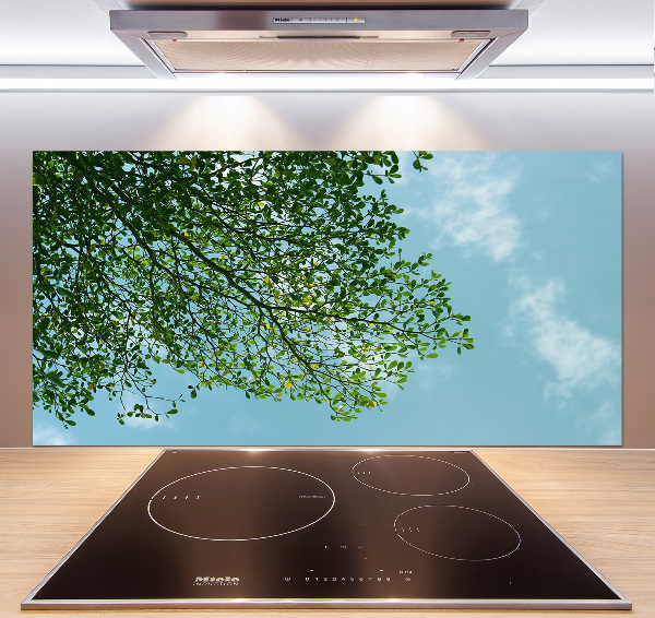 Cooker splashback Leaves in the sky