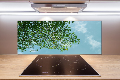 Cooker splashback Leaves in the sky