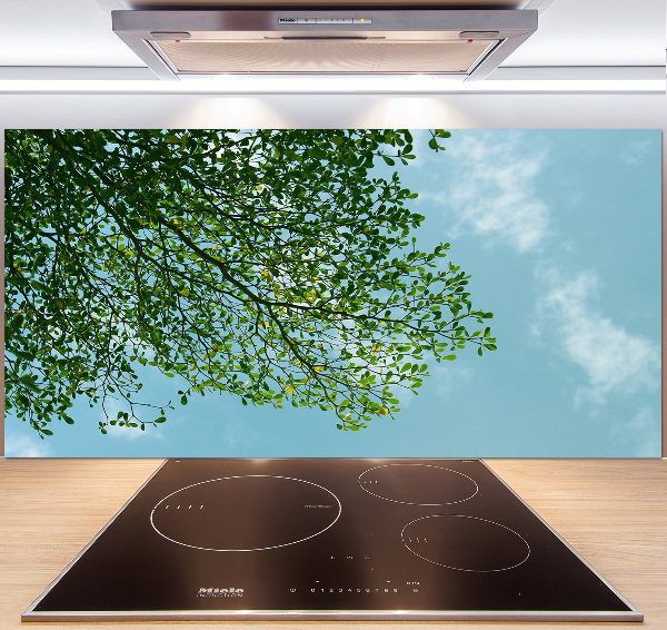 Cooker splashback Leaves in the sky