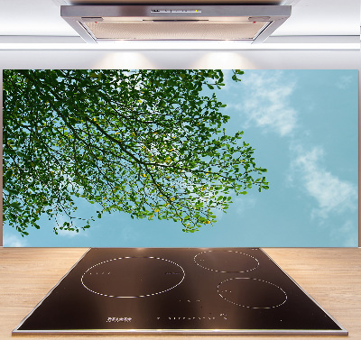 Cooker splashback Leaves in the sky