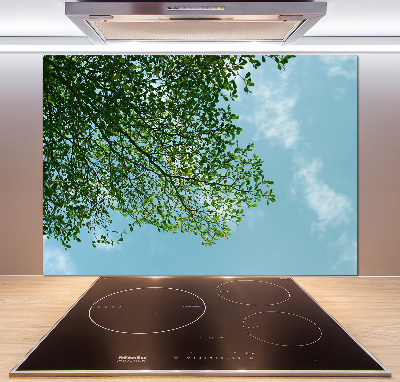 Cooker splashback Leaves in the sky