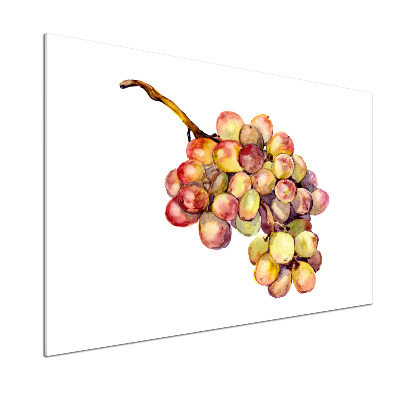 Cooker splashback Bunch of grapes