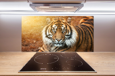 Kitchen splashback Bengal tiger