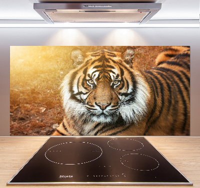 Kitchen splashback Bengal tiger