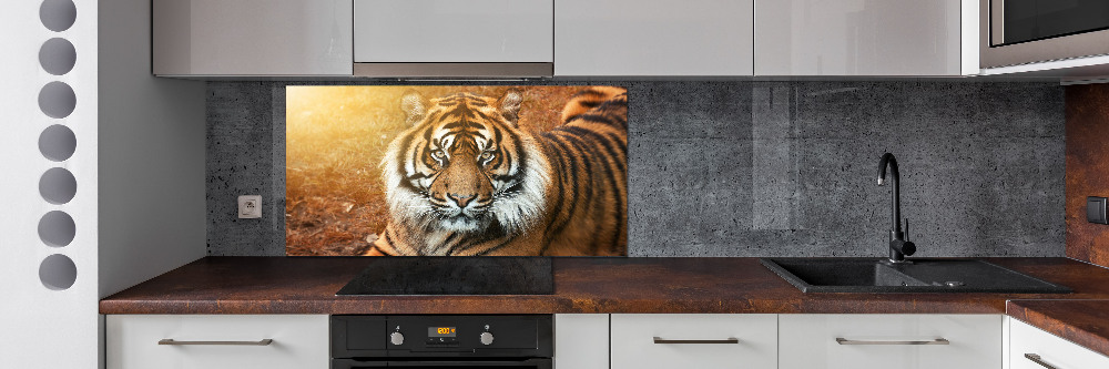 Kitchen splashback Bengal tiger