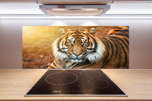 Kitchen splashback Bengal tiger