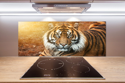 Kitchen splashback Bengal tiger