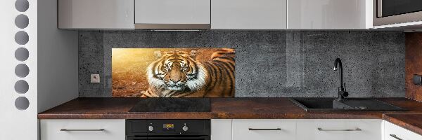 Kitchen splashback Bengal tiger