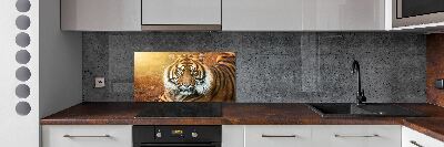 Kitchen splashback Bengal tiger