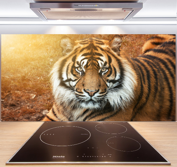 Kitchen splashback Bengal tiger