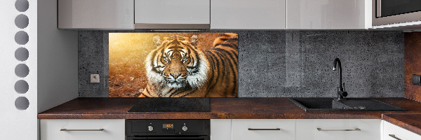 Kitchen splashback Bengal tiger