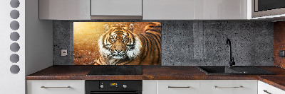 Kitchen splashback Bengal tiger