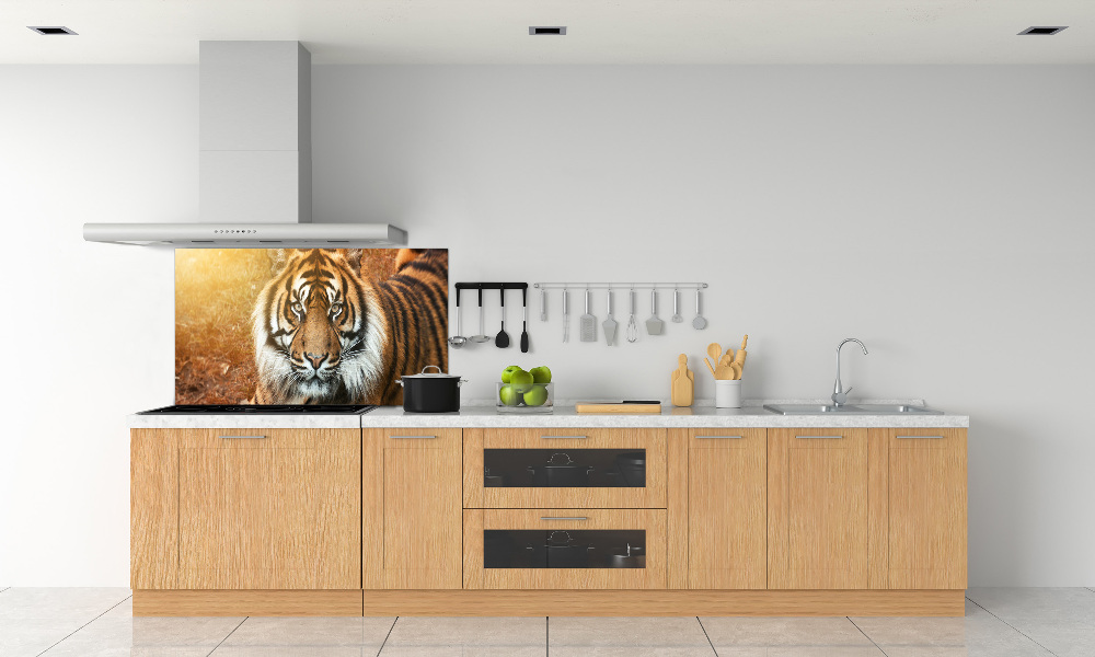 Kitchen splashback Bengal tiger