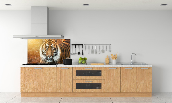 Kitchen splashback Bengal tiger