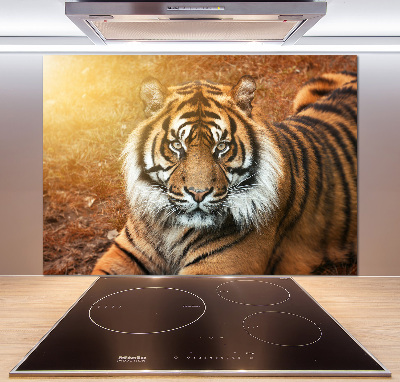 Kitchen splashback Bengal tiger