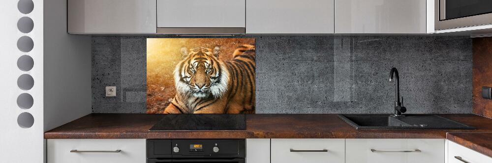 Kitchen splashback Bengal tiger