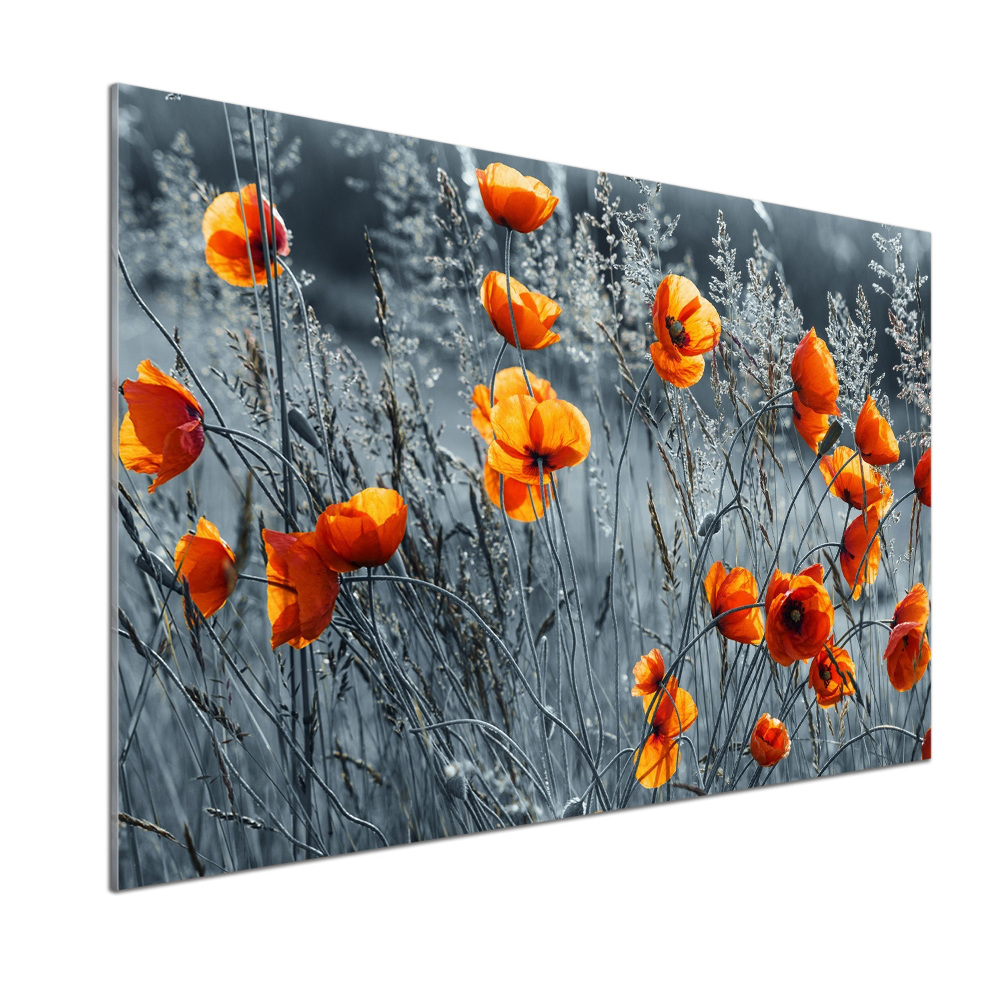 Kitchen splashback Field poppy seed