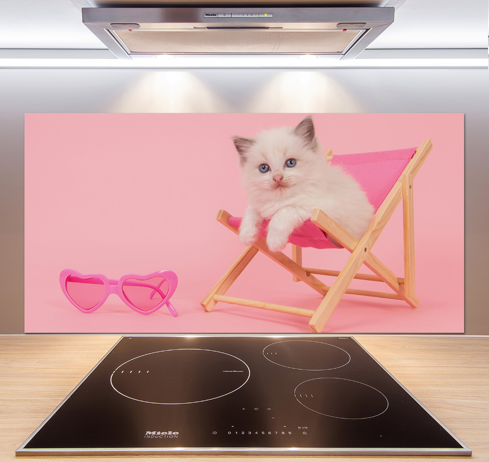 Kitchen splashback Cat on a sun lounger