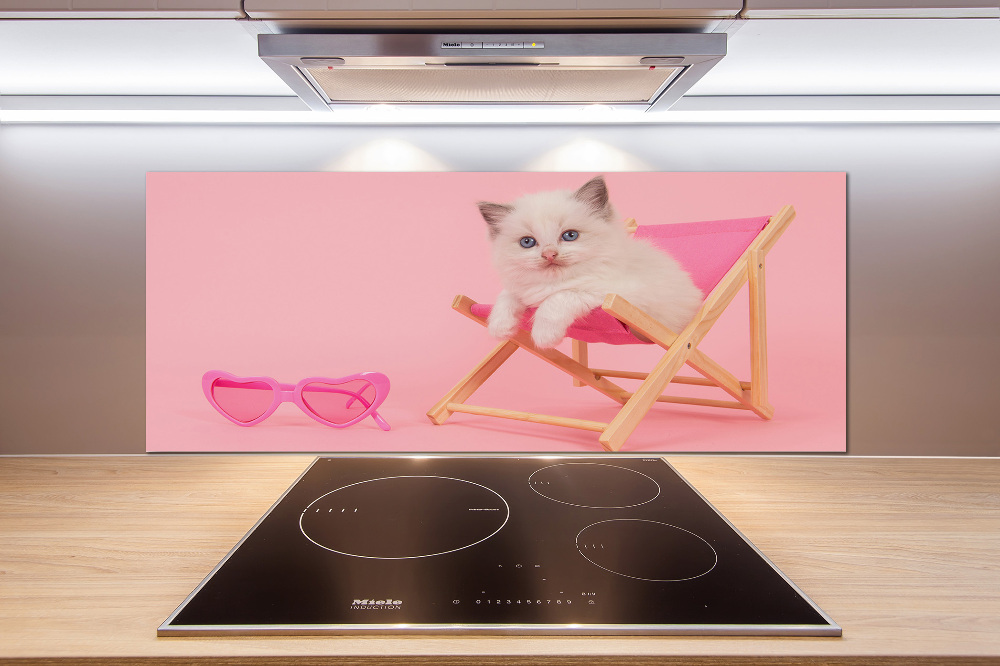 Kitchen splashback Cat on a sun lounger