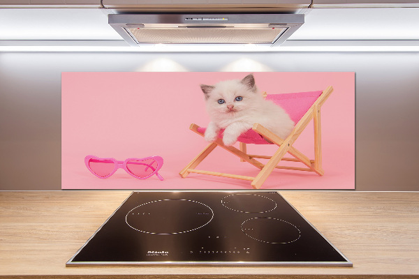 Kitchen splashback Cat on a sun lounger