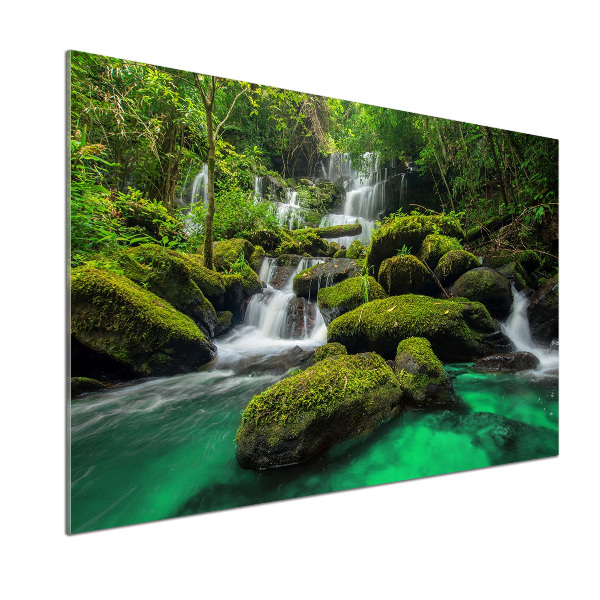 Cooker splashback Waterfall in the forest