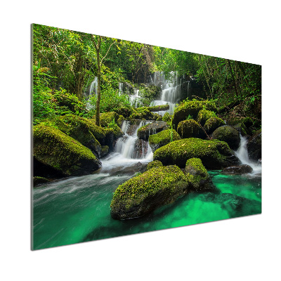 Cooker splashback Waterfall in the forest