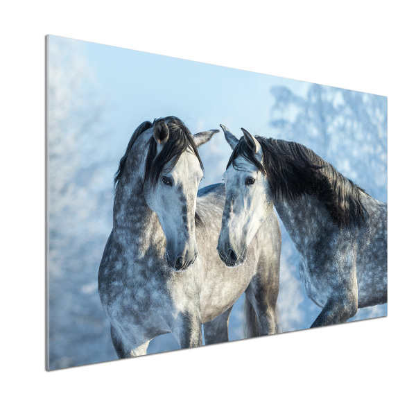 Kitchen splashback Gray horses in winter